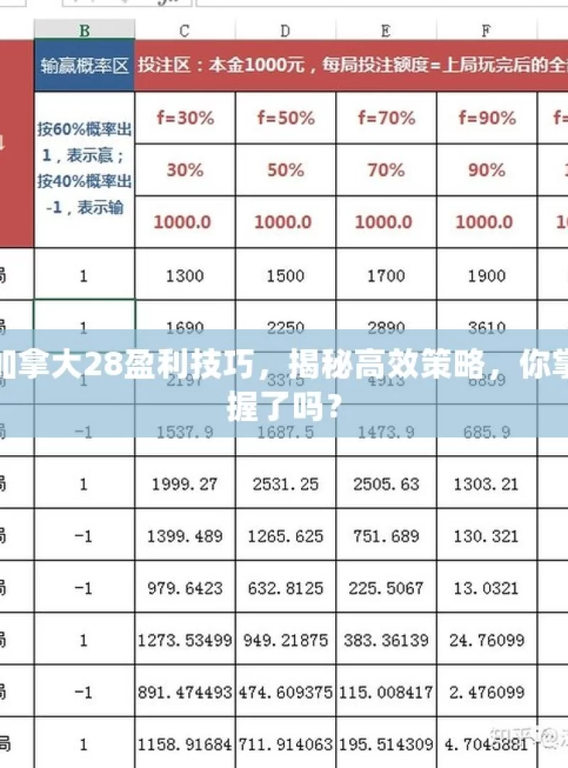 加拿大28盈利技巧，揭秘高效策略，你掌握了吗？