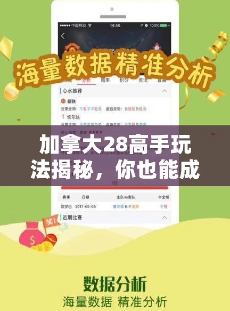 加拿大28高手玩法揭秘，你也能成为彩票大师吗？