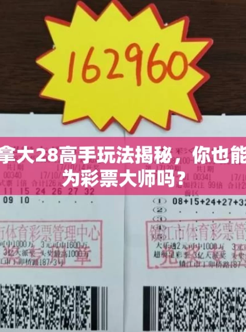 加拿大28高手玩法揭秘，你也能成为彩票大师吗？