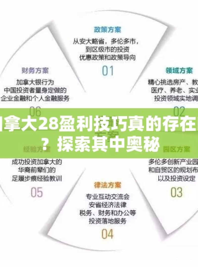 加拿大28盈利技巧真的存在吗？探索其中奥秘