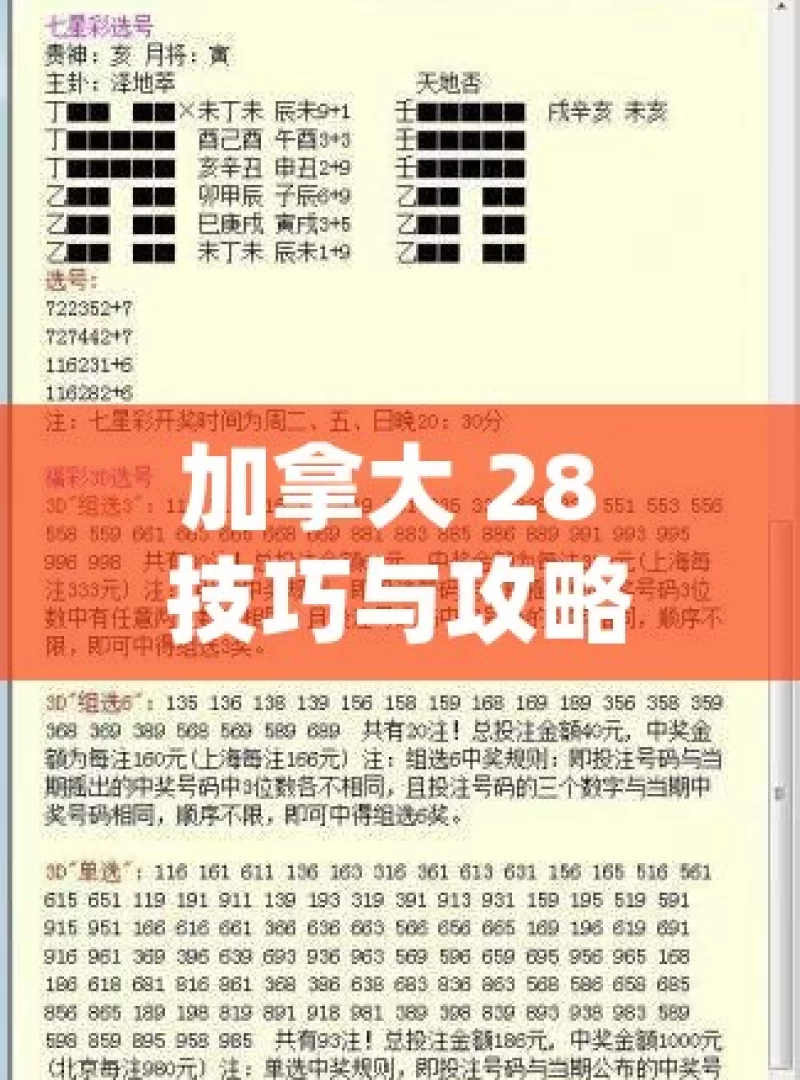 加拿大 28 技巧与攻略，如何提升获胜几率？