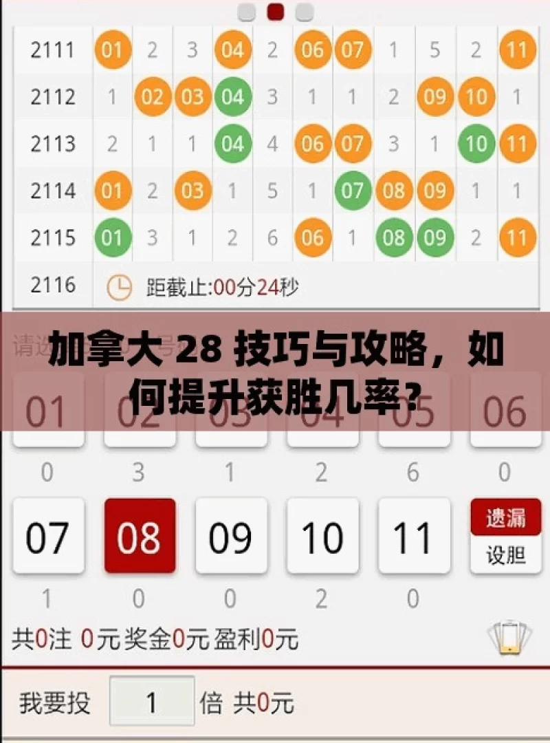 加拿大 28 技巧与攻略，如何提升获胜几率？