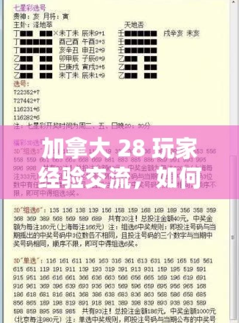 加拿大 28 玩家经验交流，如何提升胜率？