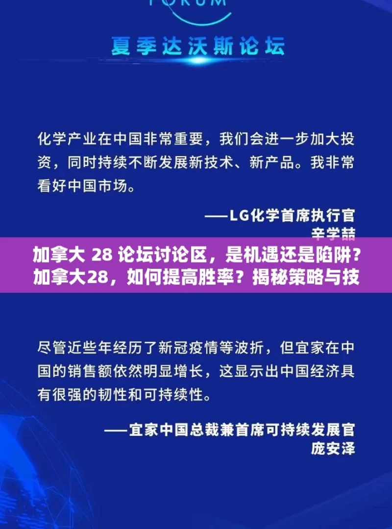 加拿大 28 论坛讨论区，是机遇还是陷阱？加拿大28，如何提高胜率？揭秘策略与技巧！，加拿大 28 论坛讨论区，机遇与陷阱并存