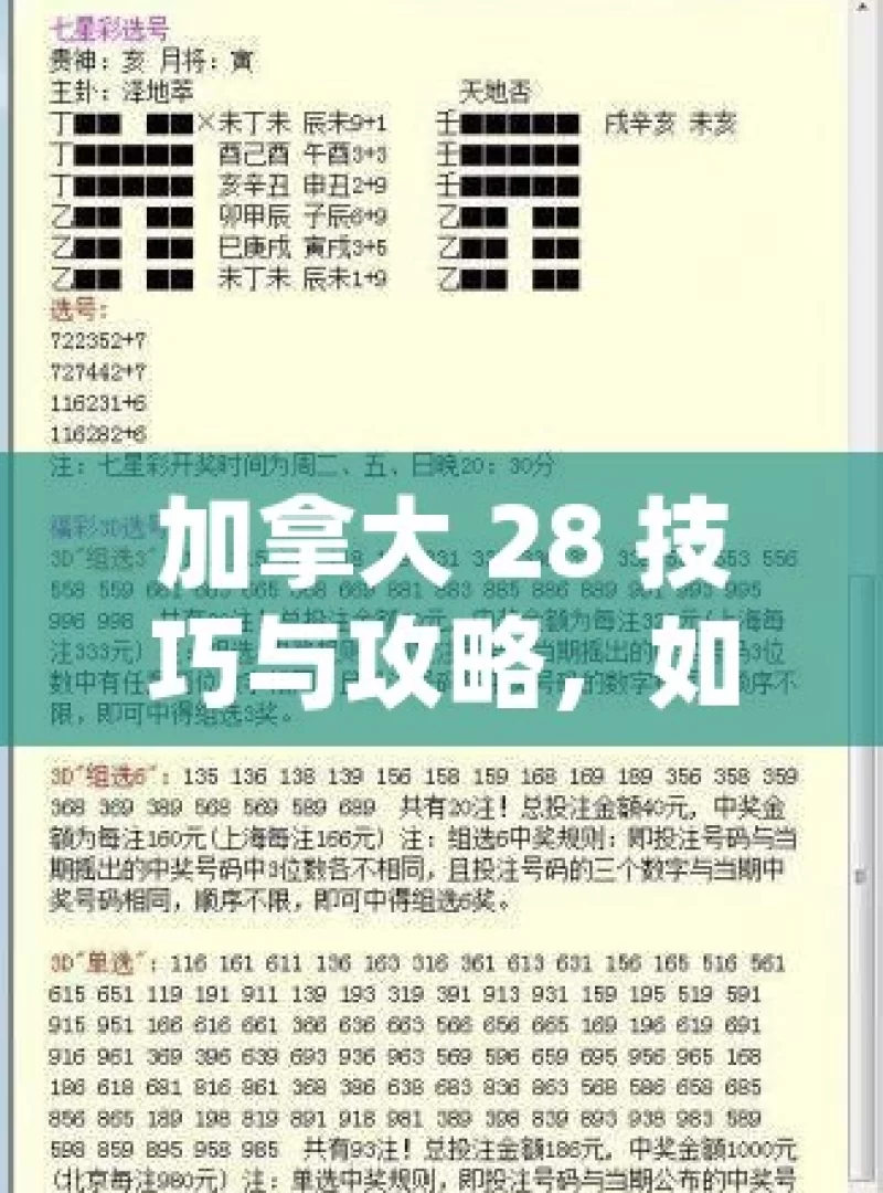 加拿大 28 技巧与攻略，如何提高获胜几率？加拿大28，如何押注？揭秘赢率提升的秘诀！，加拿大 28，提升获胜几率的技巧与攻略