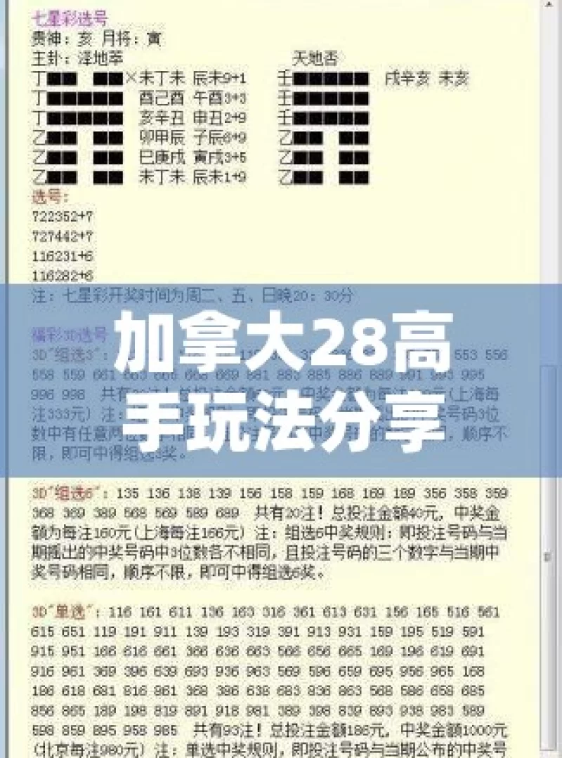 加拿大28高手玩法分享，真能实现高胜率吗？揭秘加拿大28赔率计算方式，你了解吗？，揭秘加拿大28，高手玩法与赔率计算