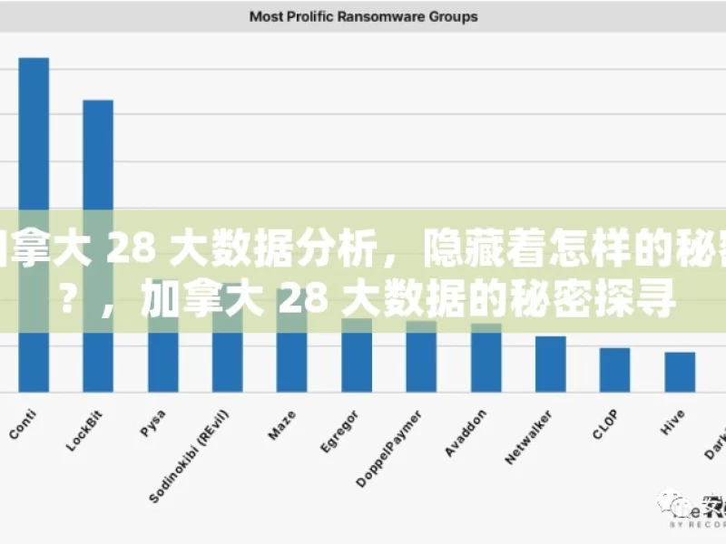 加拿大 28 大数据分析，隐藏着怎样的秘密？，加拿大 28 大数据的秘密探寻