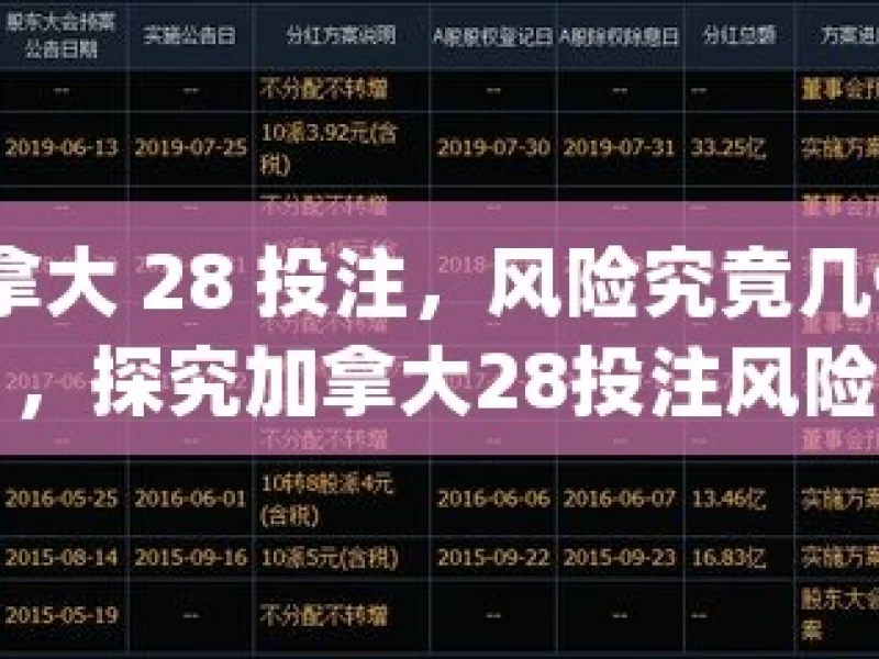 加拿大 28 投注，风险究竟几何？，探究加拿大28投注风险