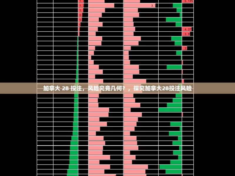 加拿大 28 投注，风险究竟几何？，探究加拿大28投注风险