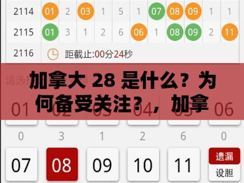 加拿大 28 是什么？为何备受关注？，加拿大 28 为何备受关注