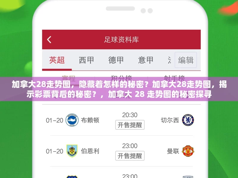 加拿大28走势图，隐藏着怎样的秘密？加拿大28走势图，揭示彩票背后的秘密？，加拿大 28 走势图的秘密探寻