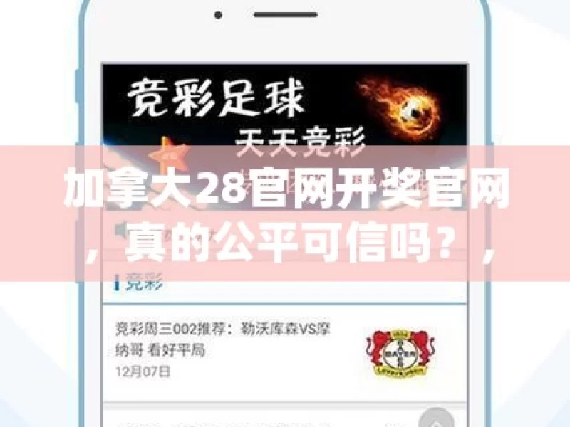 加拿大28官网开奖官网，真的公平可信吗？，加拿大28官网开奖的可信度之问