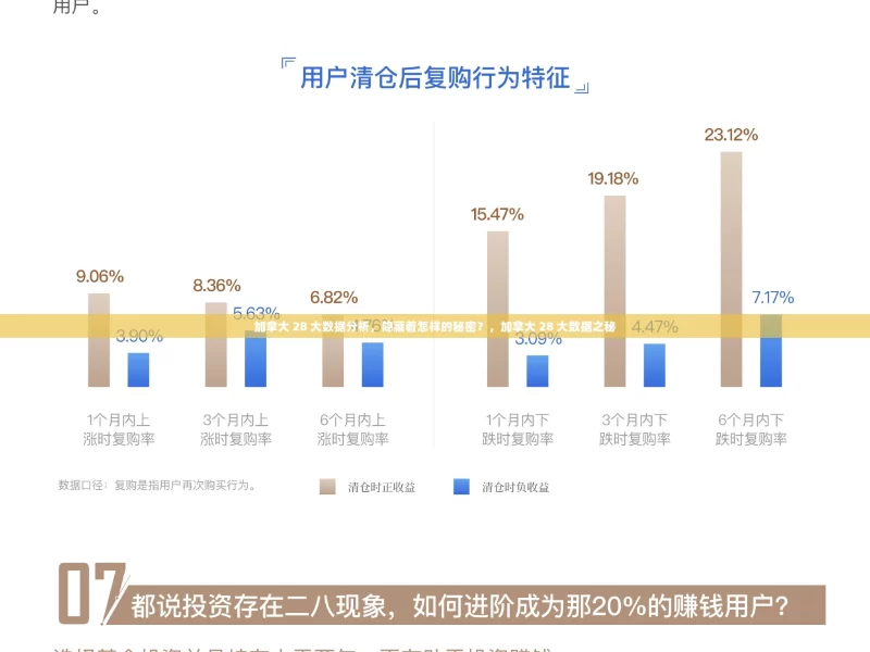 加拿大 28 大数据分析，隐藏着怎样的秘密？，加拿大 28 大数据之秘