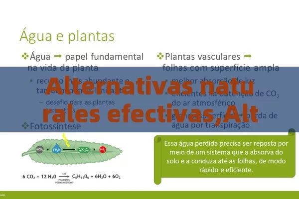 Alternativas naturales efectivas,Alternativas naturales a Viagra y Cialis: Una guía completa - Cialis:Todo lo que Debes Sabe