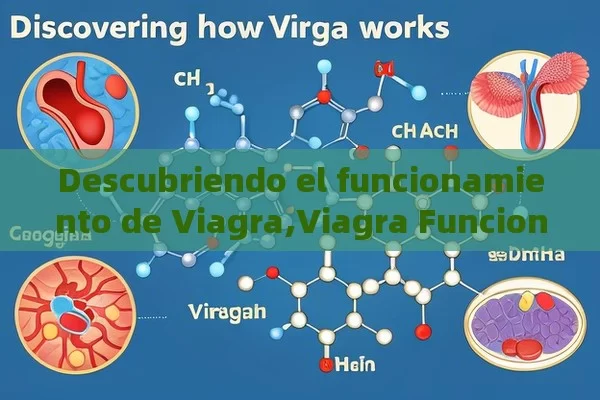 Descubriendo el funcionamiento de Viagra,Viagra Funciona