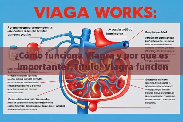 ¿Cómo funciona Viagra y por qué es importante?, Viagra funciona: Una guía completa - Cialis:Todo lo que Debes Sabe