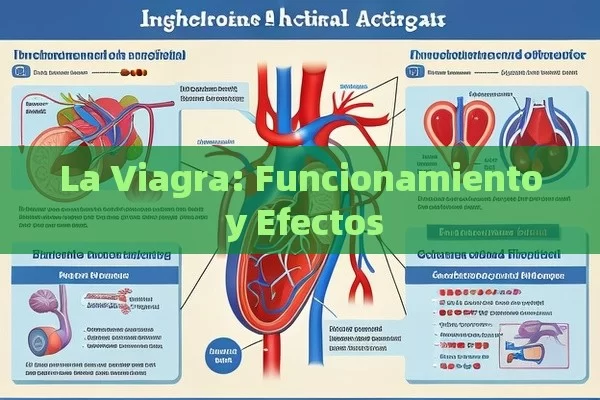 La Viagra: Funcionamiento y Efectos