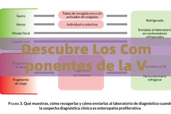 Descubre Los Componentes de la Viagra: ¿Có mo funcion y su eficacia? - Cialis:Todo lo que Debes Sabe