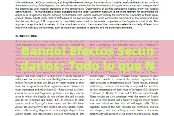 Bandol Efectos Secundarios: Todo lo que Necesitas Saber sobre este Medicamento - Cialis:Todo lo que Debes Sabe